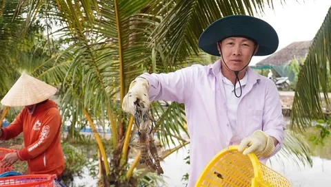 Người nu&ocirc;i t&ocirc;m tr&uacute;ng m&aacute;nh dịp cận Tết- Ảnh 2.