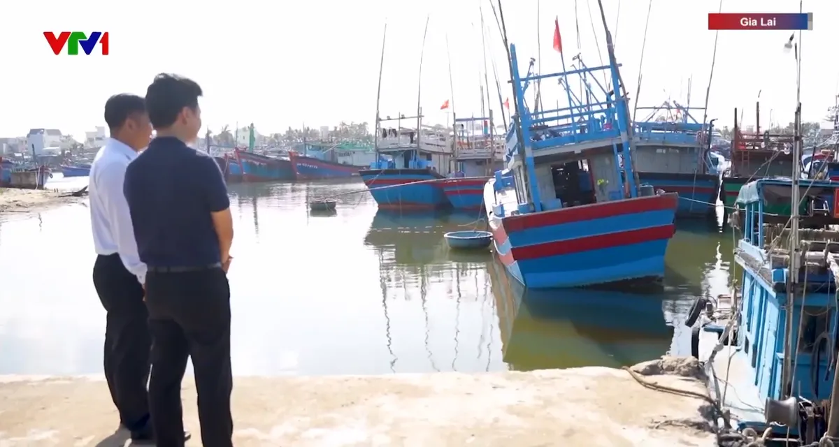 Gia Lai hỗ trợ chuyển đổi nghề, bảo đảm sinh kế cho ngư dân - Ảnh 1.