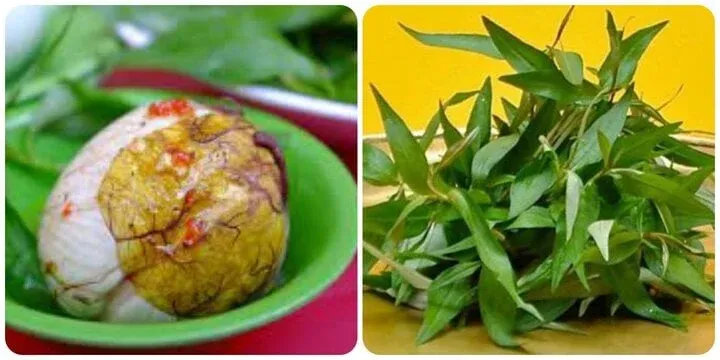 M&oacute;n hay ăn c&ugrave;ng trứng vịt lộn l&agrave; &ldquo;thuốc qu&yacute;&rdquo; gi&aacute; rẻ- Ảnh 1.