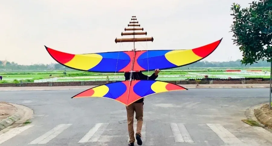 Diều sáo: Bản hòa tấu giữa gió và hồn quê Việt- Ảnh 1. Diều sáo: Bản hòa tấu giữa gió và hồn quê Việt- Ảnh 1.