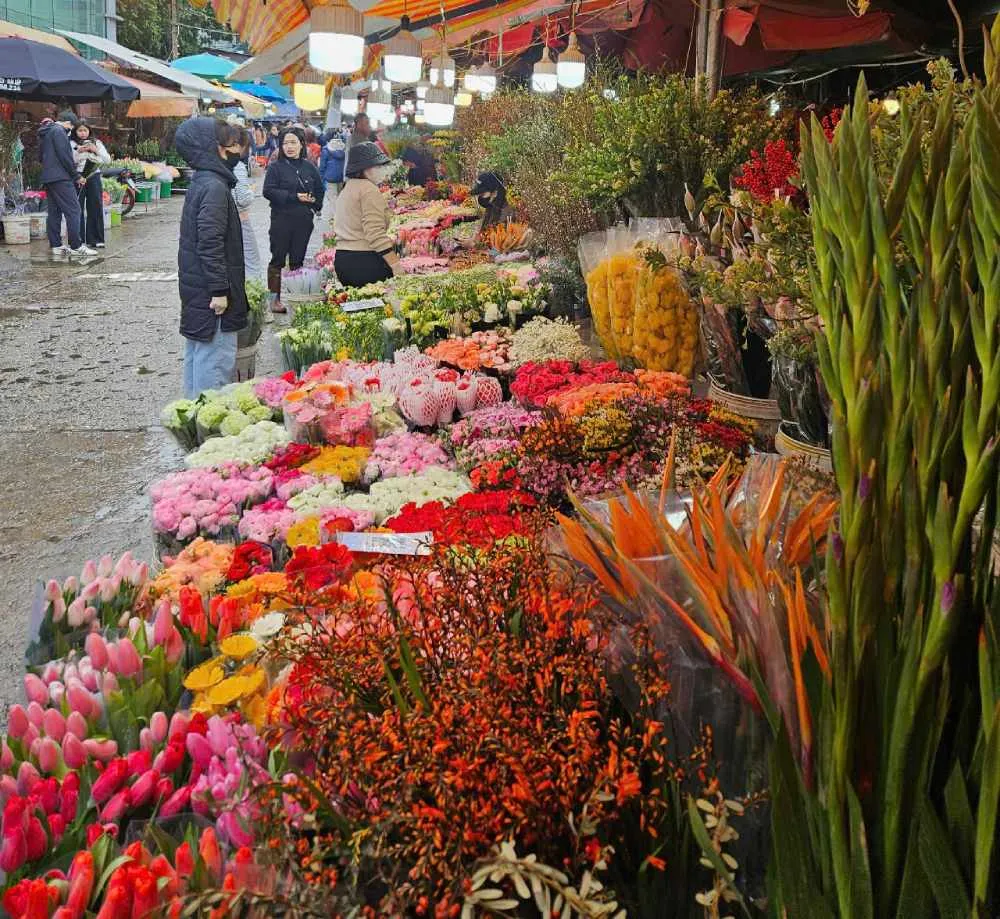 Chợ hoa Quảng An rộn r&agrave;ng sắc xu&acirc;n, hương Tết lan tỏa khắp H&agrave; Nội- Ảnh 1.