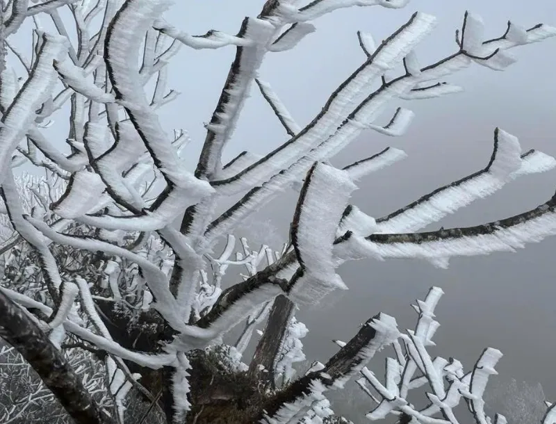 Miền Bắc r&eacute;t đậm r&eacute;t hại, v&ugrave;ng n&uacute;i cao c&oacute; nơi dưới 3 độ C- Ảnh 1.