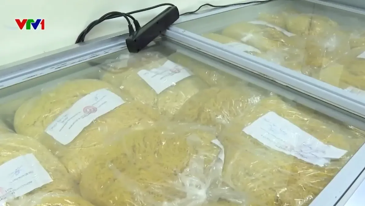 Khởi tố vụ &aacute;n sản xuất, bu&ocirc;n b&aacute;n m&igrave; sợi sử dụng chất cấm tại TP Hồ Ch&iacute; Minh  - Ảnh 2.