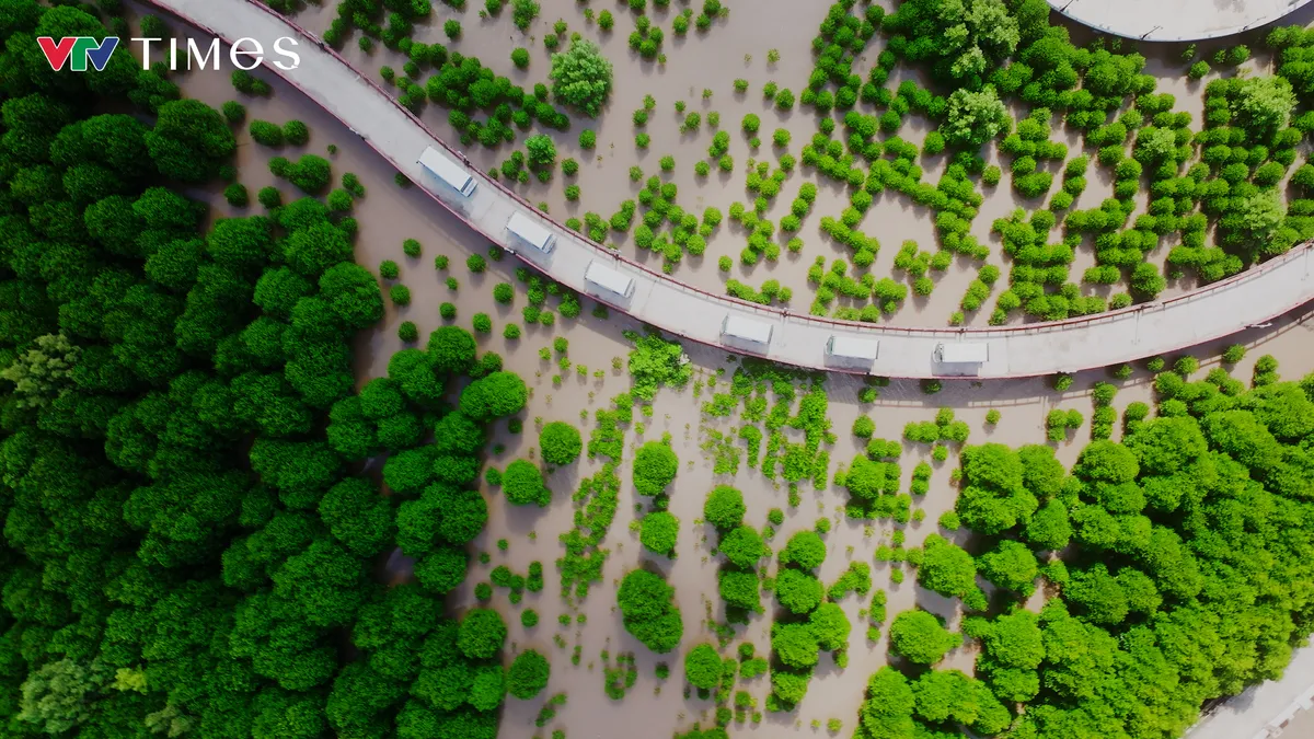 Vườn quốc gia Mũi C&agrave; Mau trước th&aacute;ch thức biến đổi kh&iacute; hậu- Ảnh 5.