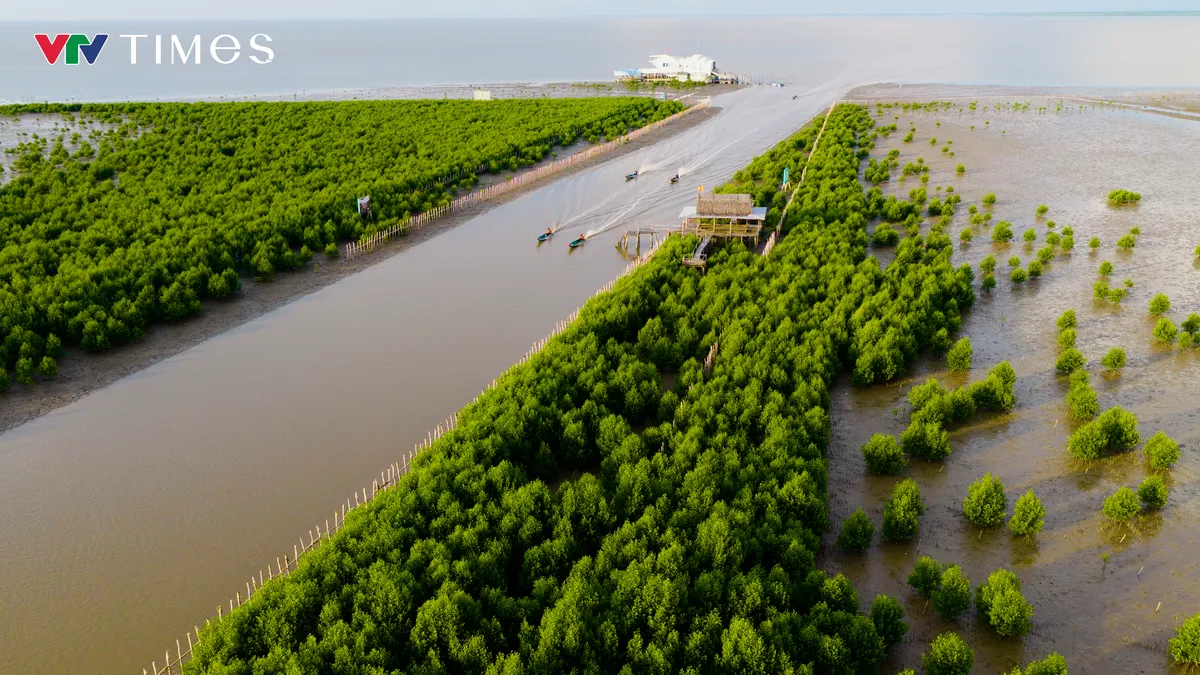 Vườn quốc gia Mũi C&agrave; Mau trước th&aacute;ch thức biến đổi kh&iacute; hậu- Ảnh 1.