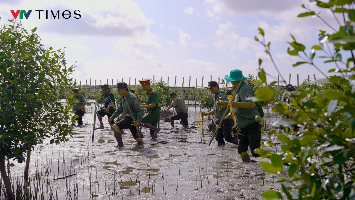 Vườn quốc gia Mũi C&agrave; Mau trước th&aacute;ch thức biến đổi kh&iacute; hậu- Ảnh 2.