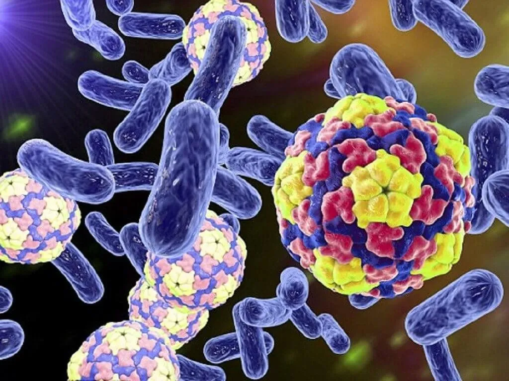 Vi khuẩn: Những "si&ecirc;u anh h&ugrave;ng" t&iacute; hon giải cứu h&agrave;nh tinh- Ảnh 1.