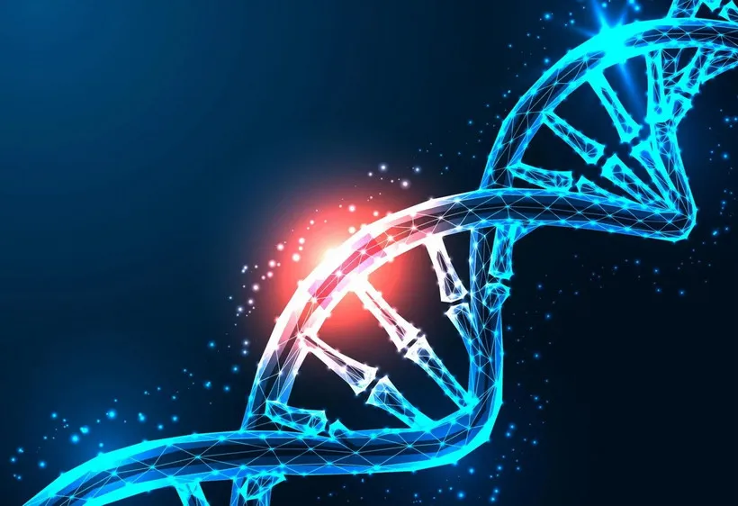 Ứng dụng CRISPR n&acirc;ng cao hiệu quả liệu ph&aacute;p CAR T, mở hướng mới điều trị ung thư- Ảnh 1.