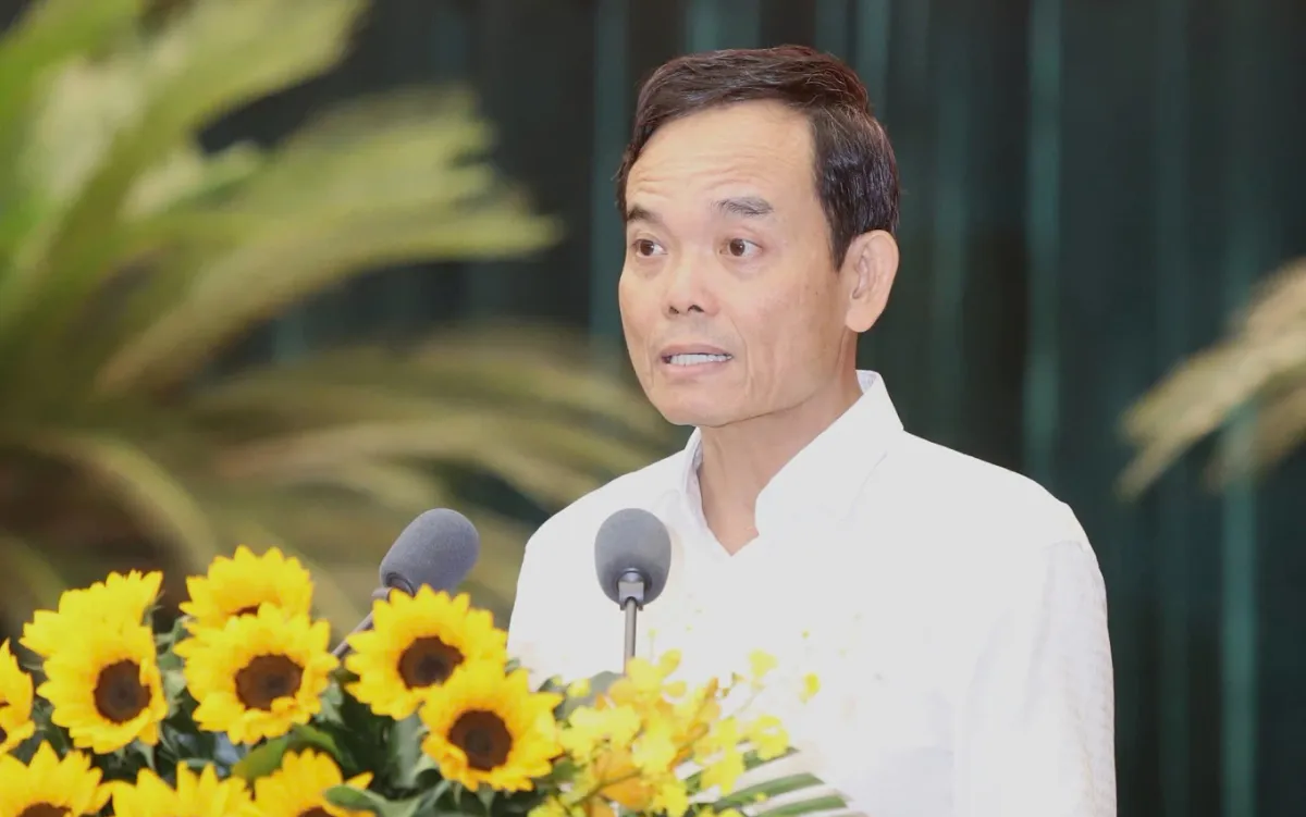 Đường nối Cần Giờ - Vũng Tàu sẽ có hầm ngầm vượt biển - Ảnh 1.