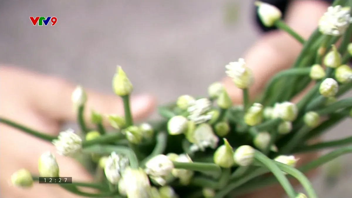 Ấn tượng Phương Nam: Ấn tượng ngồng hành mùa gió bấc