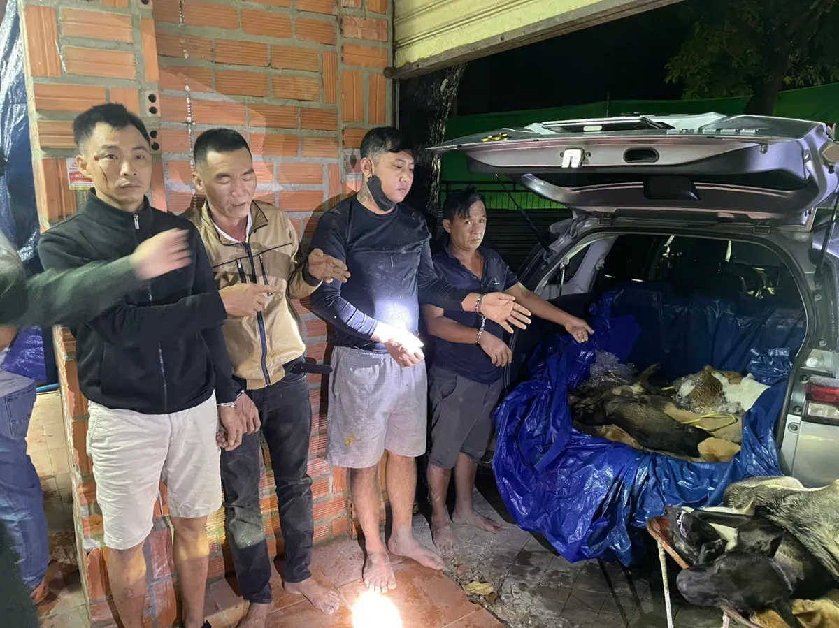 Triệt ph&aacute; đường d&acirc;y trộm cắp, ti&ecirc;u thụ hơn 1,6 tấn ch&oacute; trộm ở T&acirc;y Ninh - Ảnh 1.