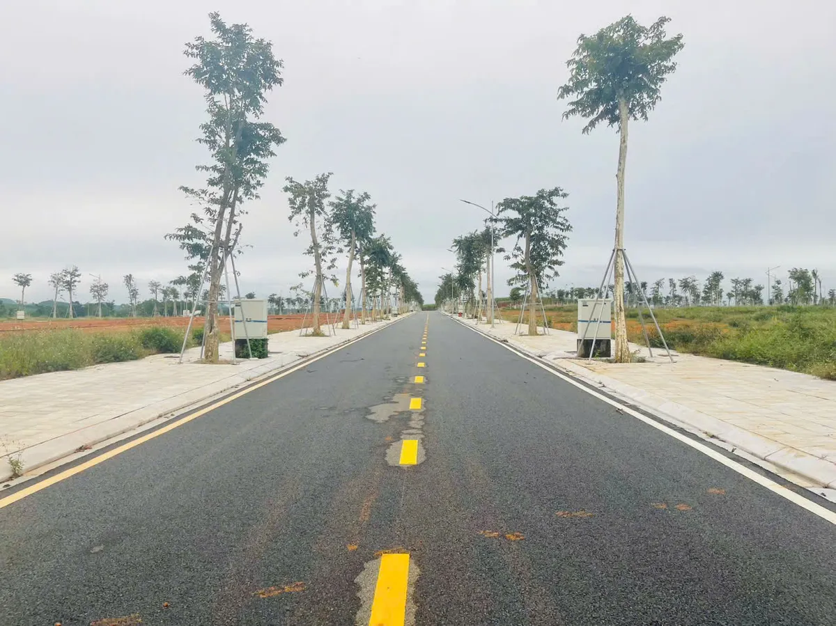 Kinh tế Thanh Hóa bứt tốc năm 2026: Hiện thực hóa quy hoạch đô thị vệ tinh tại các vùng động lực - Ảnh 2.