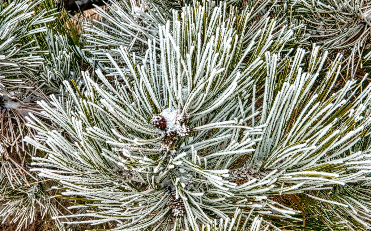 Ảnh minh họa: Pexels