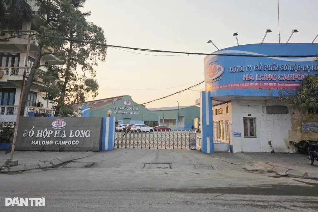 Hải Ph&ograve;ng ti&ecirc;u hủy gần 14.000 hộp pat&ecirc; l&agrave;m từ thịt nhiễm dịch- Ảnh 1.