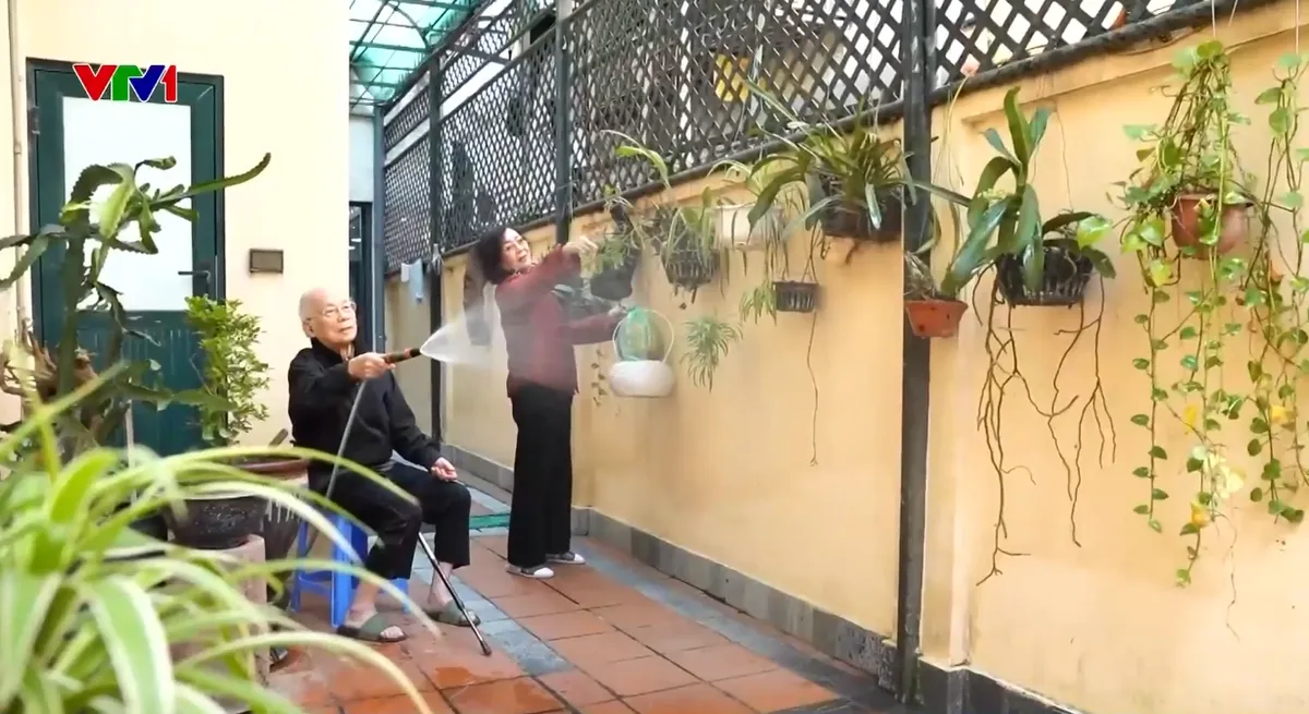 Người cao tuổi n&ecirc;n ở nh&agrave; chung cư hay nh&agrave; mặt đất? - Ảnh 1.