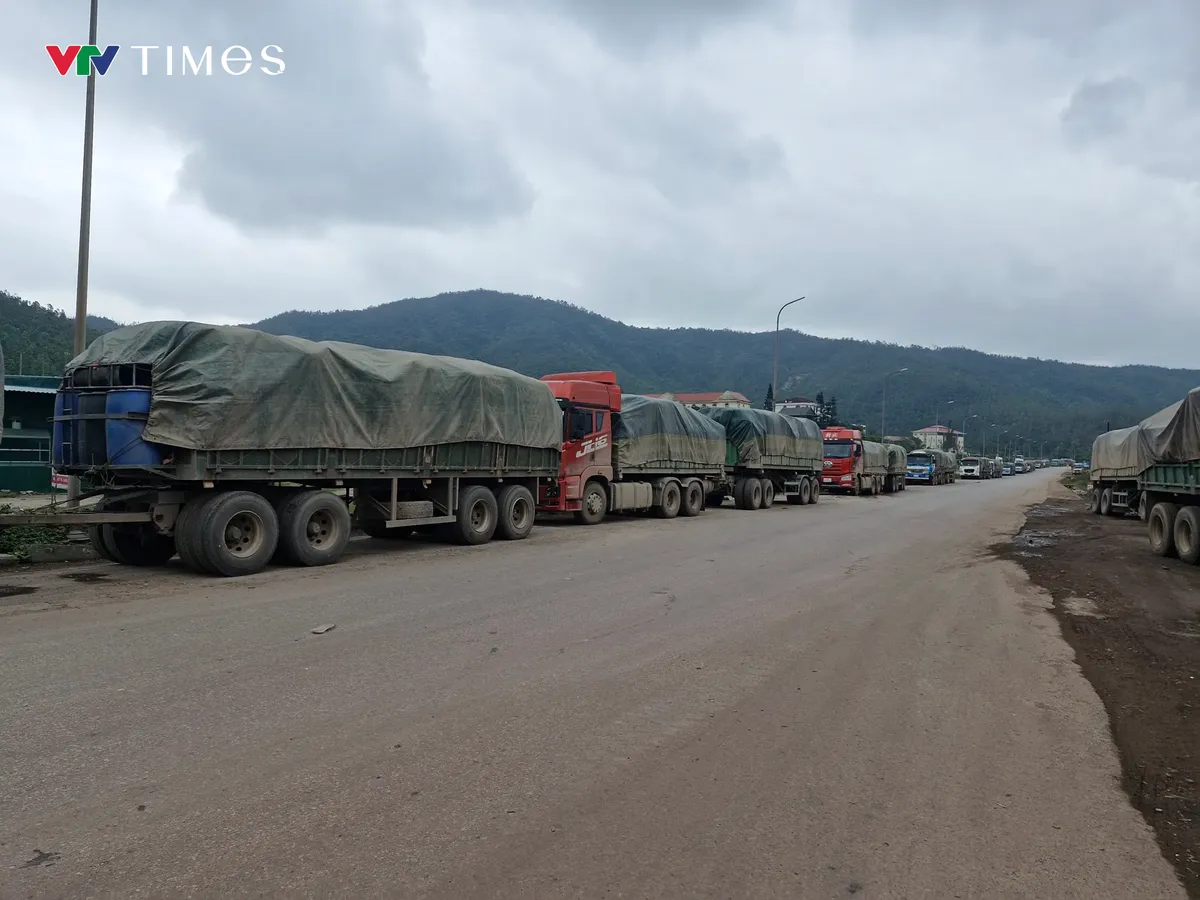 H&agrave; Tĩnh: Cảng quốc tế L&agrave;o - Việt quyết t&acirc;m bứt ph&aacute; ngay từ những ng&agrave;y đầu năm - Ảnh 1.