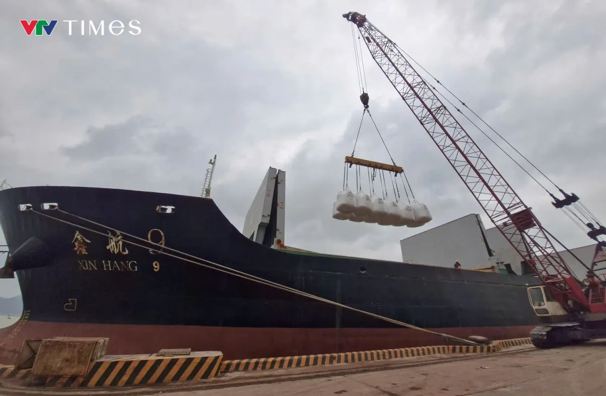 H&agrave; Tĩnh: Cảng quốc tế L&agrave;o - Việt quyết t&acirc;m bứt ph&aacute; ngay từ những ng&agrave;y đầu năm - Ảnh 2.