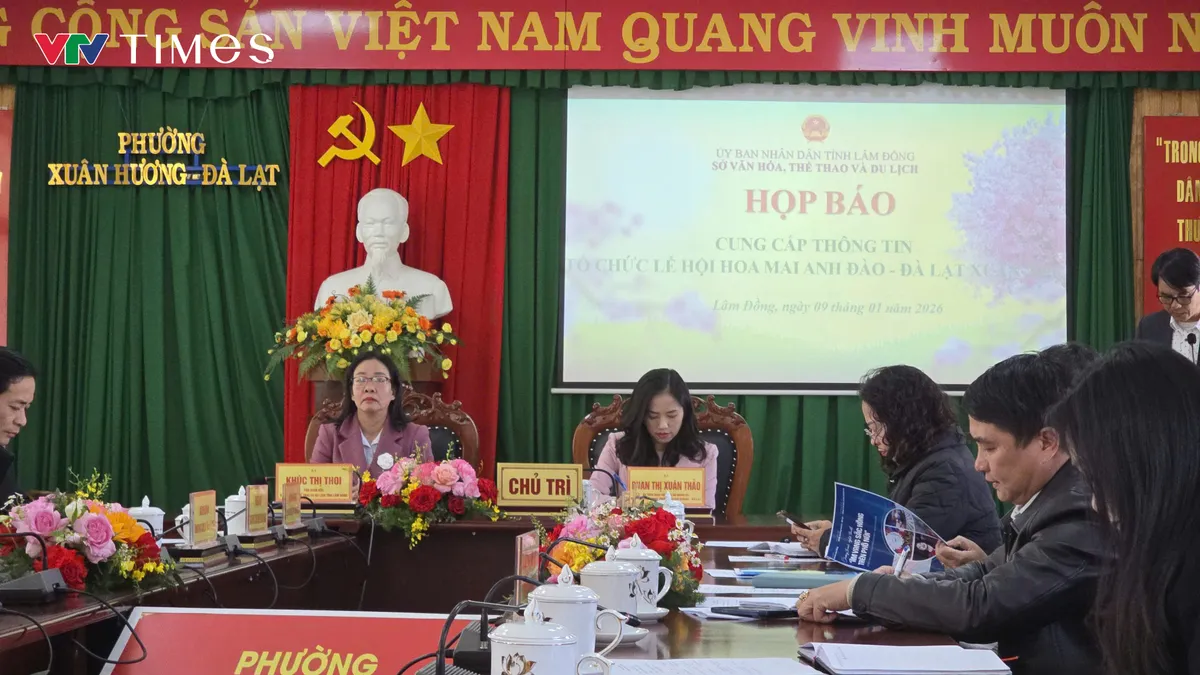 L&acirc;m Đồng: Lễ hội hoa Mai Anh Đ&agrave;o Đ&agrave; Lạt mở m&agrave;n chuỗi hoạt động hấp dẫn m&ugrave;a Xu&acirc;n tr&ecirc;n cao nguy&ecirc;n - Ảnh 1.