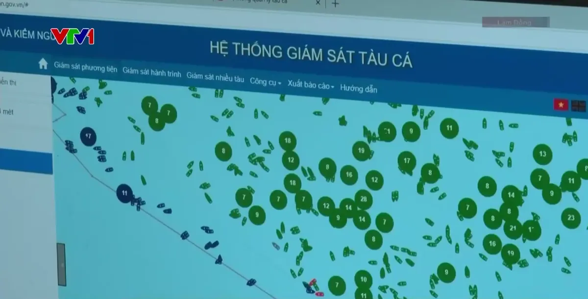 Ba tuần li&ecirc;n tiếp kh&ocirc;ng c&oacute; t&agrave;u c&aacute; Việt Nam bị nước ngo&agrave;i bắt giữ- Ảnh 2.