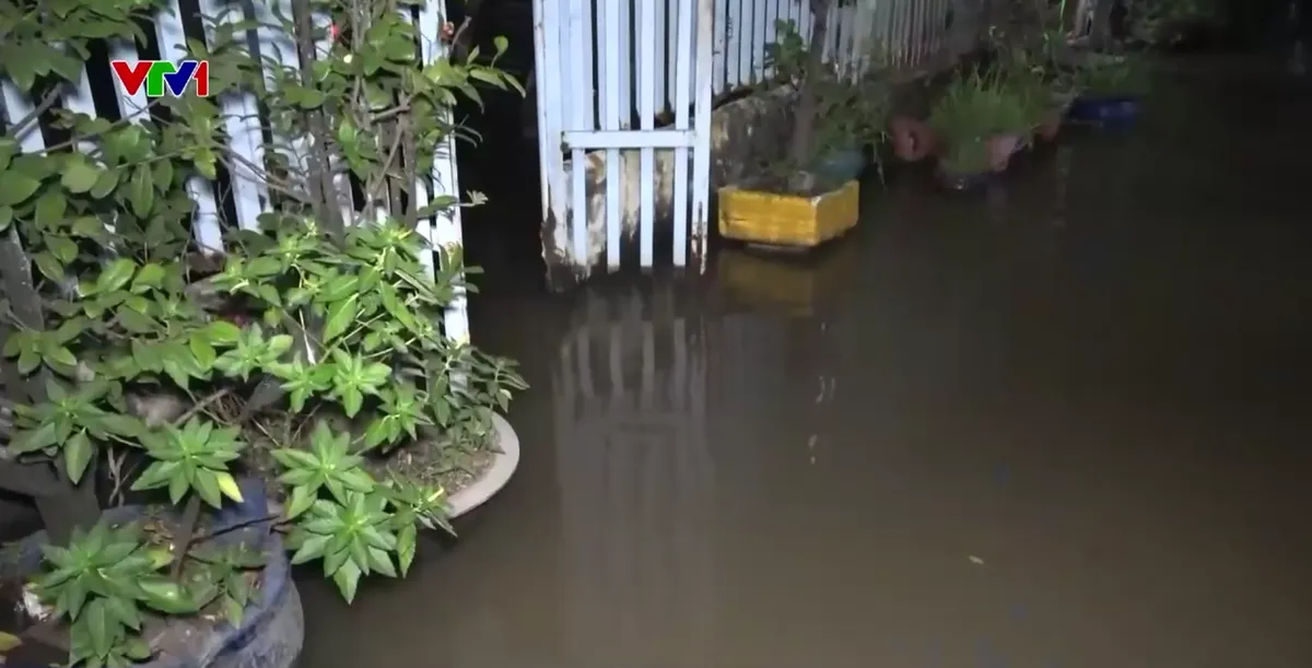 Triều cường d&acirc;ng cao trong đ&ecirc;m, nhiều khu d&acirc;n cư ở C&agrave; Mau bị ngập- Ảnh 2.
