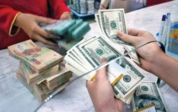Mua, b&aacute;n ngoại tệ từ 100.000 USD trở l&ecirc;n giữa c&aacute; nh&acirc;n c&oacute; thể bị phạt đến 100 triệu đồng- Ảnh 1.