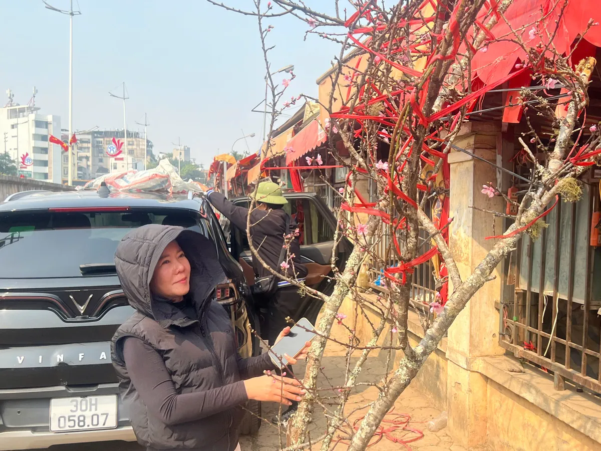 Nhộn nhịp thị trường đào sớm tại Quảng An: Sức mua ổn định dù chi phí vận chuyển tăng- Ảnh 6. Nhộn nhịp thị trường đào sớm tại Quảng An: Sức mua ổn định dù chi phí vận chuyển tăng- Ảnh 6.