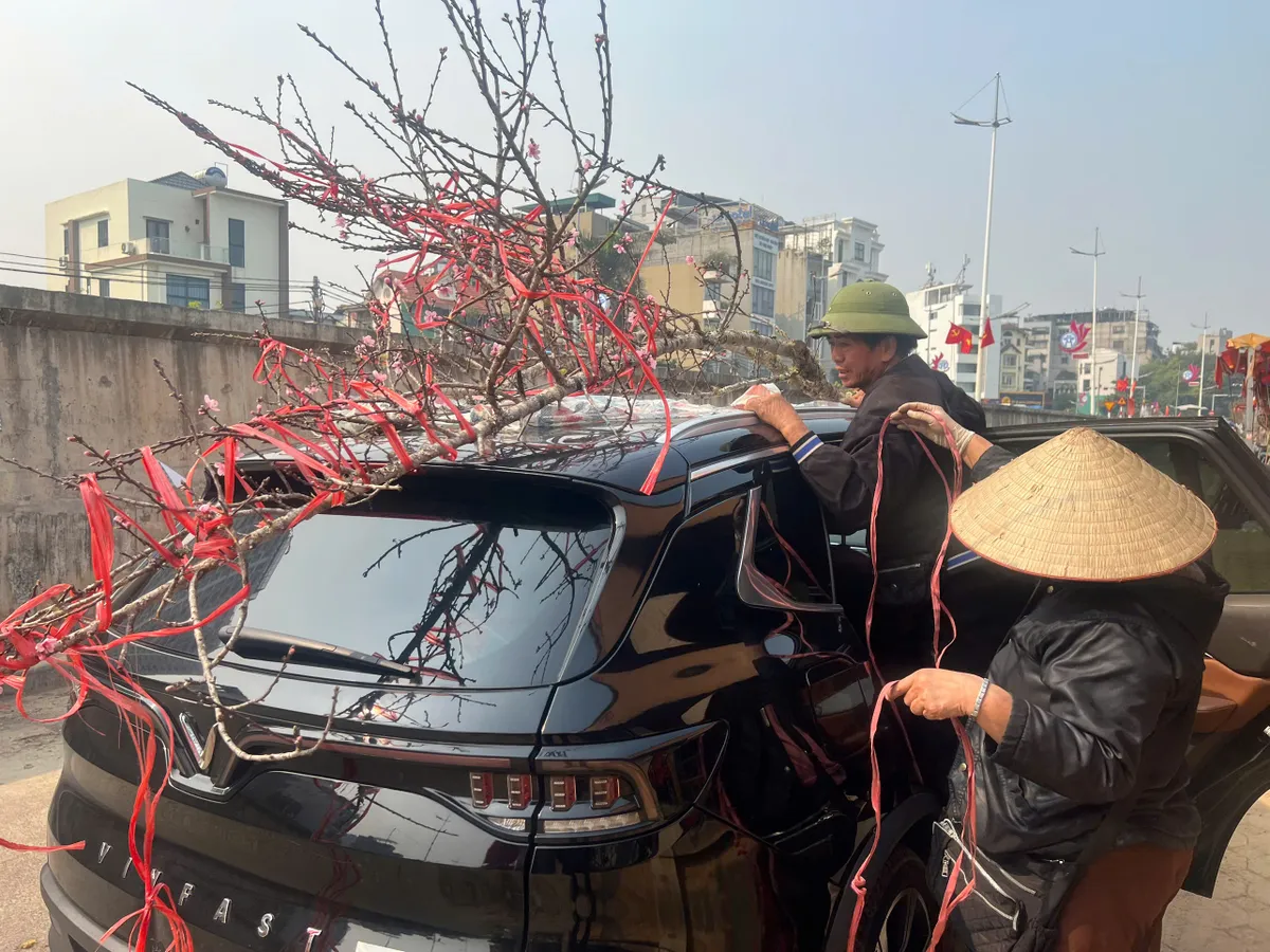 Nhộn nhịp thị trường đào sớm tại Quảng An: Sức mua ổn định dù chi phí vận chuyển tăng- Ảnh 3. Nhộn nhịp thị trường đào sớm tại Quảng An: Sức mua ổn định dù chi phí vận chuyển tăng- Ảnh 3.