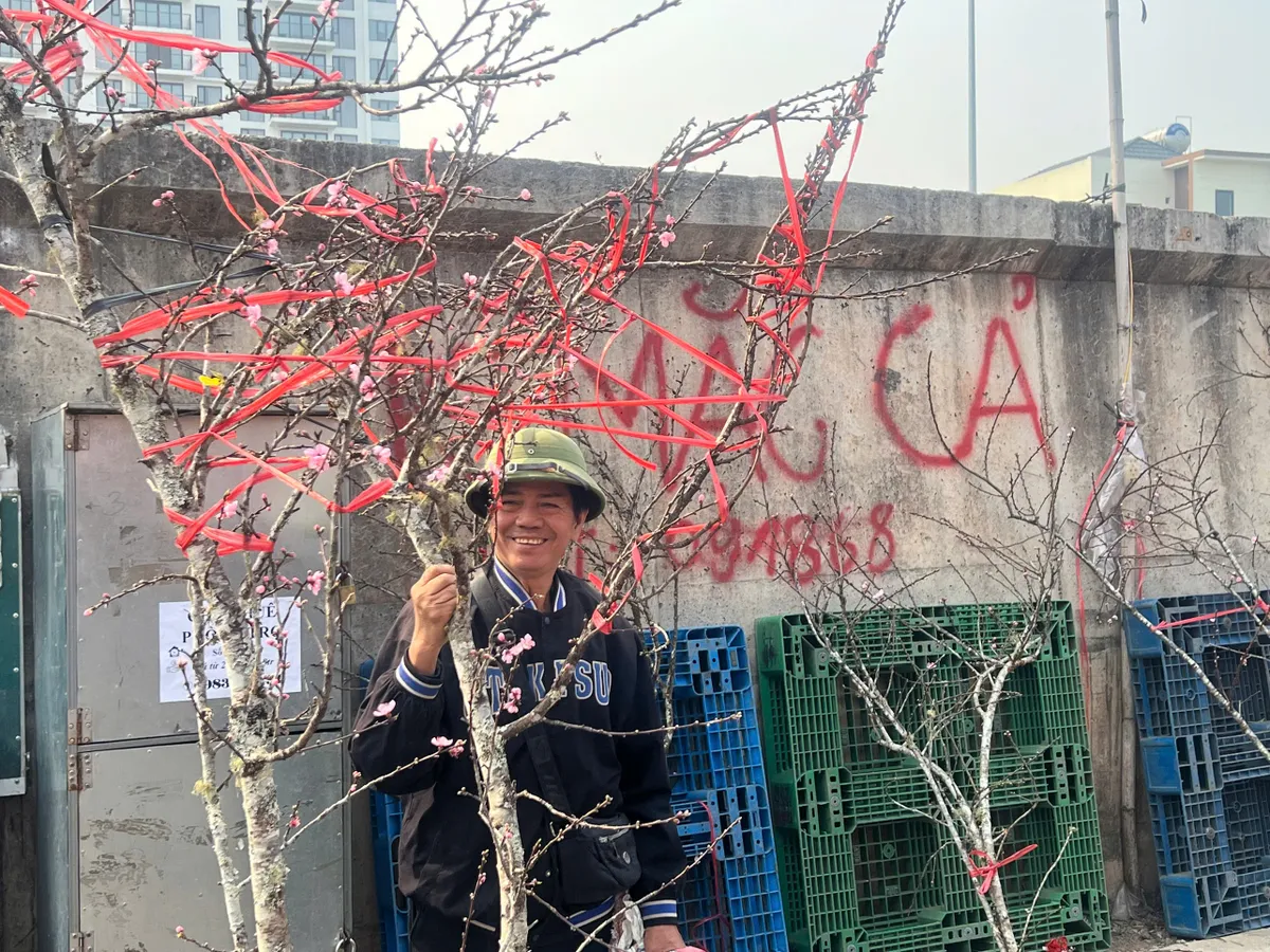 Nhộn nhịp thị trường đào sớm tại Quảng An: Sức mua ổn định dù chi phí vận chuyển tăng- Ảnh 1. Nhộn nhịp thị trường đào sớm tại Quảng An: Sức mua ổn định dù chi phí vận chuyển tăng- Ảnh 1.