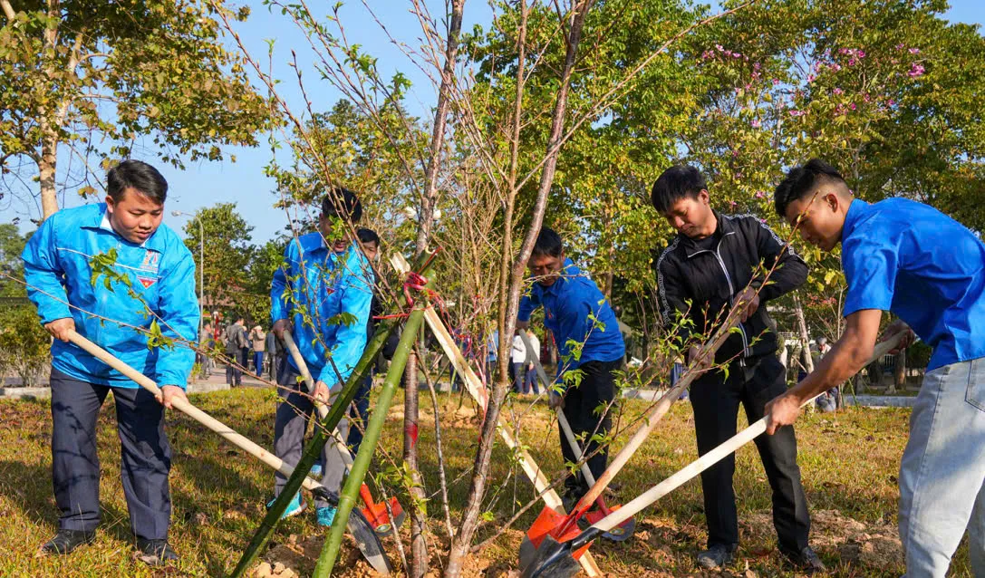 Điện Bi&ecirc;n khởi động lộ tr&igrave;nh trồng 50.000 c&acirc;y hoa anh đ&agrave;o- Ảnh 1.