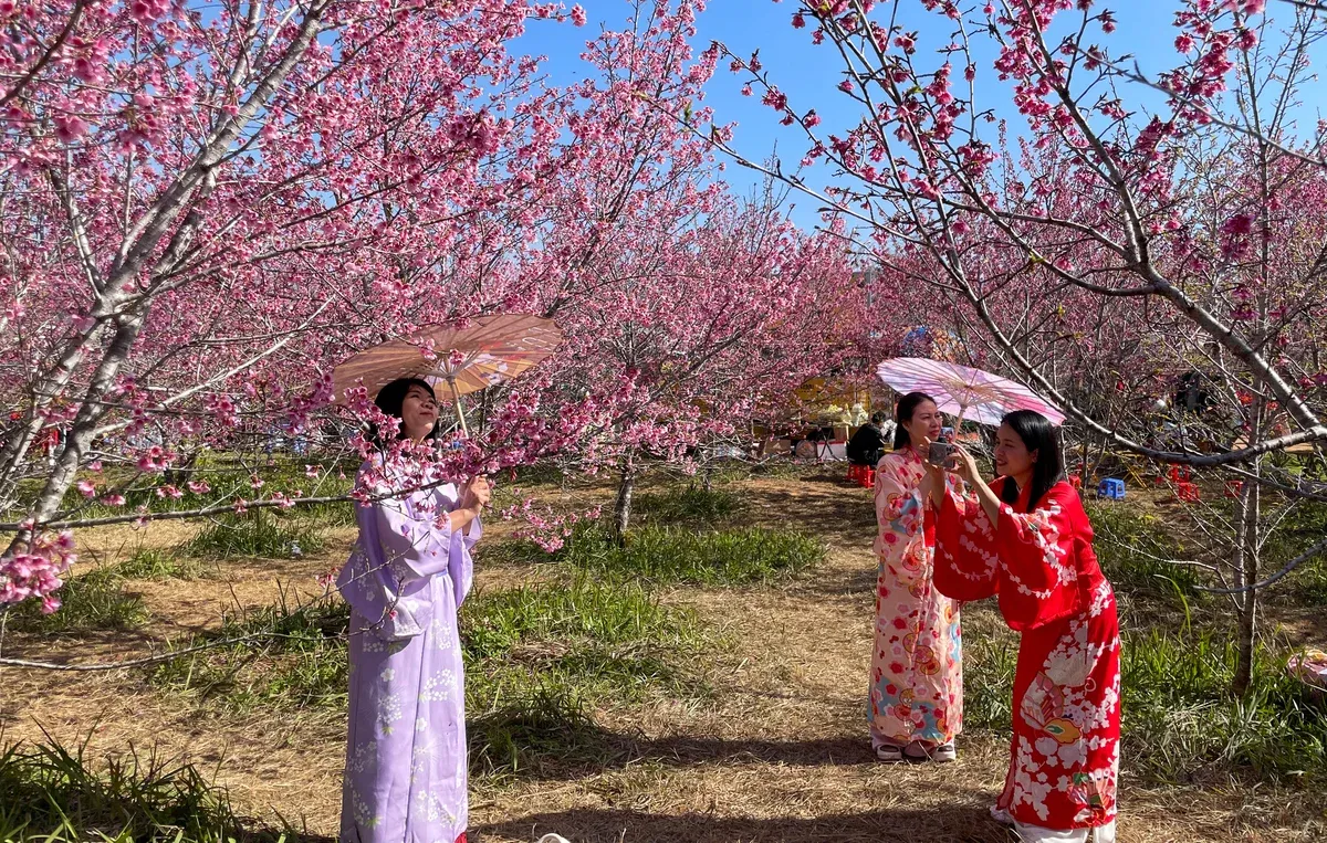 Điện Biên: Không gian văn hóa tô thêm sắc màu cho Lễ hội Hoa anh đào. - Ảnh 4.