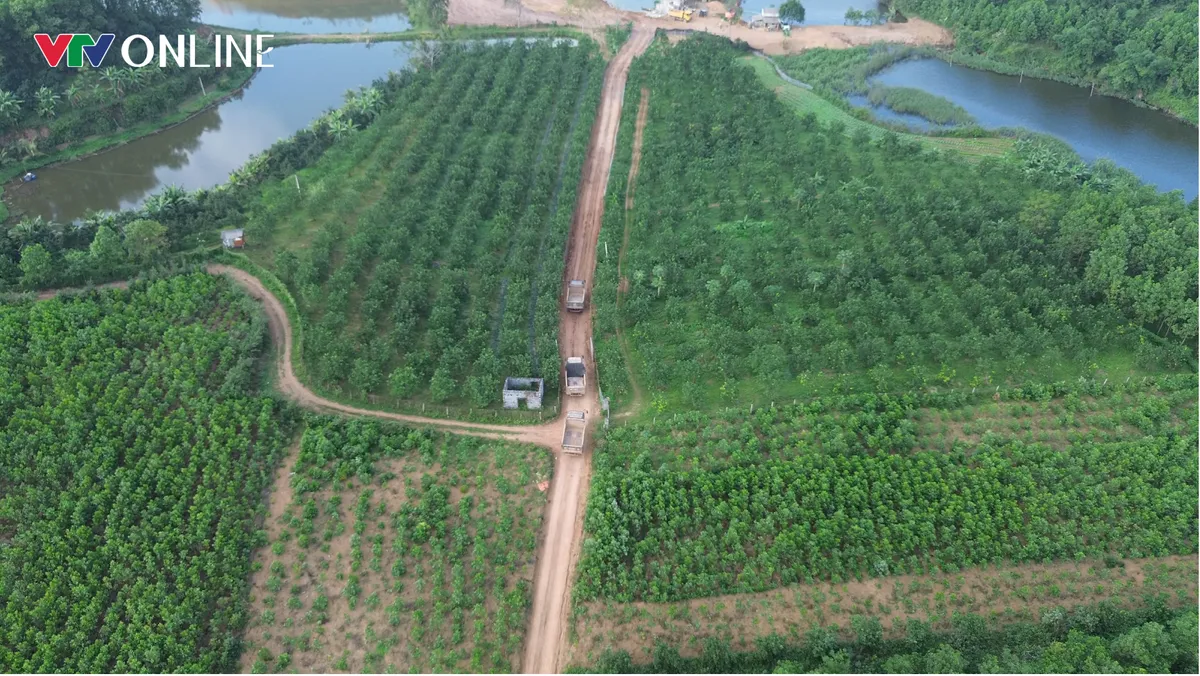 Phú Thọ: Những quả đồi bị đào xới và dấu hiệu khai thác đất kéo dài (kỳ 3) - Ảnh 2.