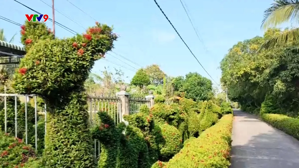 Ấn tượng phương Nam: Vườn trang kiểng của chú Năm