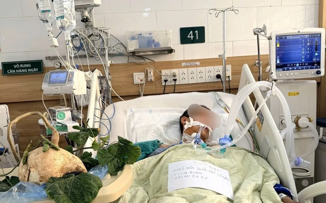 Ba ca ngộ độc hạt củ đậu đ&atilde; qua nguy kịch, tiếp tục được theo d&otilde;i s&aacute;t- Ảnh 1.