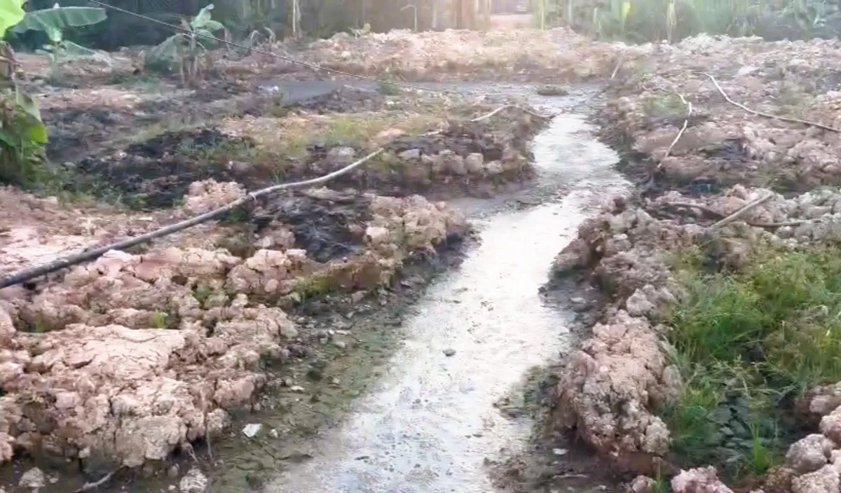 Đồng Nai ph&aacute;t hiện cơ sở sản xuất hạt nhựa xả nước thải h&ocirc;i thối ra m&ocirc;i trường- Ảnh 2.