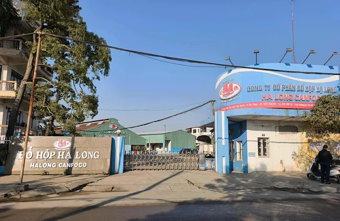 Vụ 130 tấn thịt lợn nhiễm dịch tả ch&acirc;u Phi: Si&ecirc;u thị thu hồi sản phẩm, quyền lợi người ti&ecirc;u d&ugrave;ng được đặt ra- Ảnh 1.