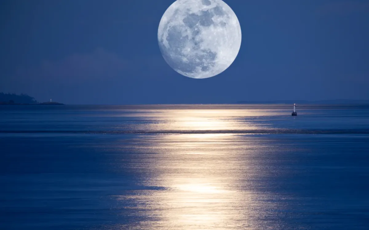 (Ảnh: Getty Images)