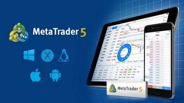 Cảnh b&aacute;o lừa đảo đầu tư ngoại hối qua ứng dụng MetaTrader5- Ảnh 1.