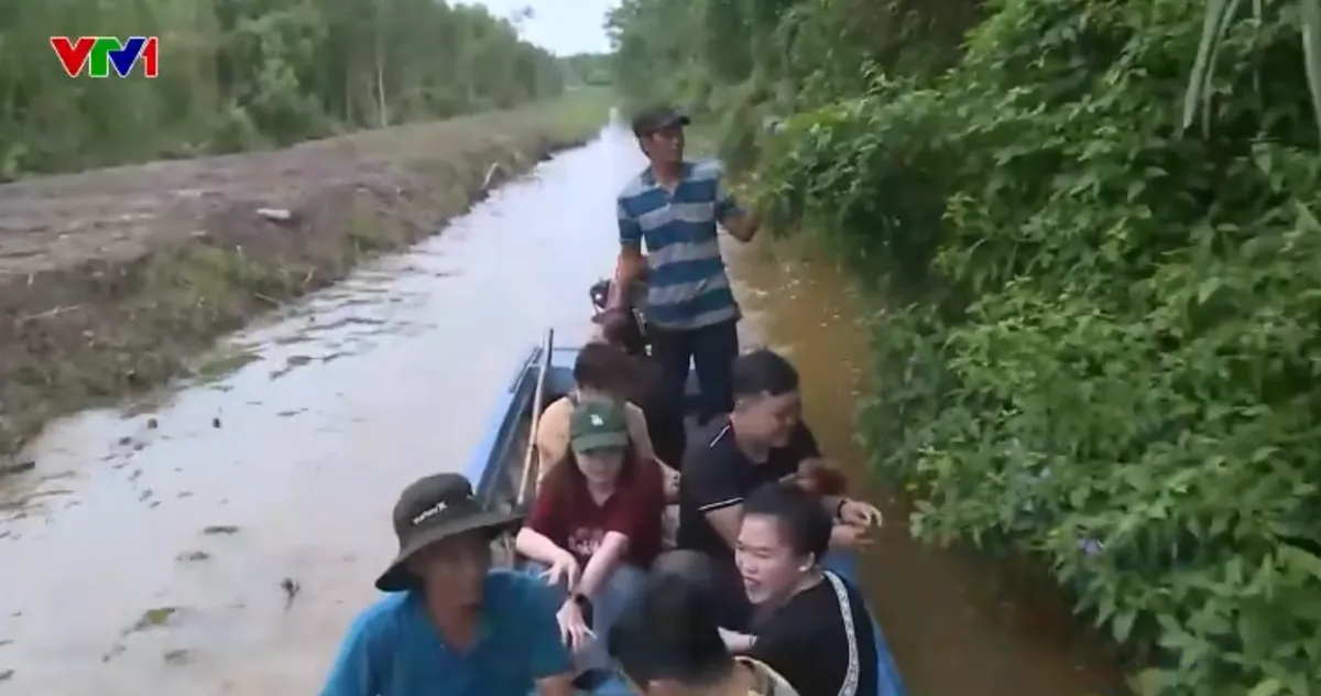 Sinh kế bền vững từ du lịch rừng tràm - Ảnh 1.