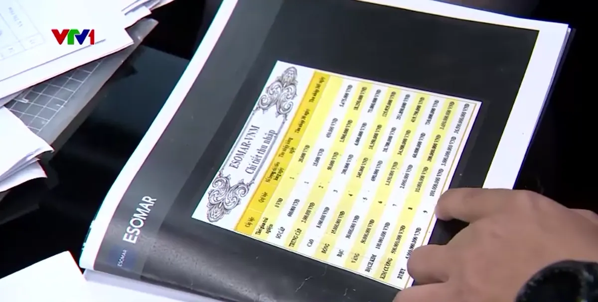 K&yacute; quỹ với Esomar: Nguy cơ mất trắng tiền - Ảnh 1.