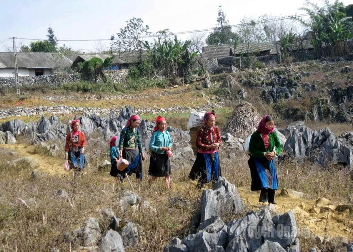 Trốn Tết b&igrave;nh y&ecirc;n: Top 10 tọa độ tĩnh lặng d&agrave;nh cho những t&acirc;m hồn muốn rời xa phố thị- Ảnh 1.