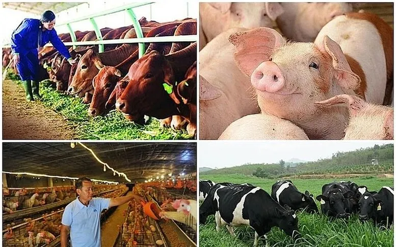 Động vật trên cạn thuộc diện phải kiểm dịch như: Trâu, bò, lừa, ngựa, la, dê, lợn, gà, vịt, ngan, ngỗng, gà tây...