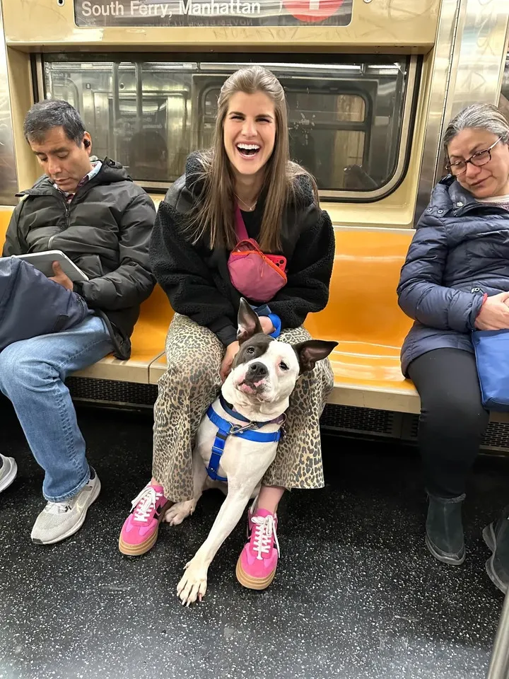 Nhiều phụ nữ Mỹ chọn nu&ocirc;i ch&oacute; thay cho hẹn h&ograve;- Ảnh 1.