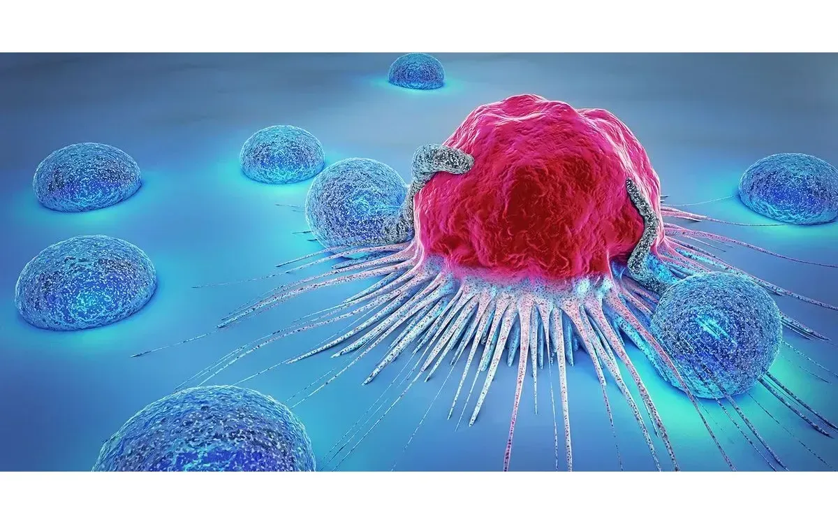 Tế bào ung thư (Ảnh minh họa: iStock)