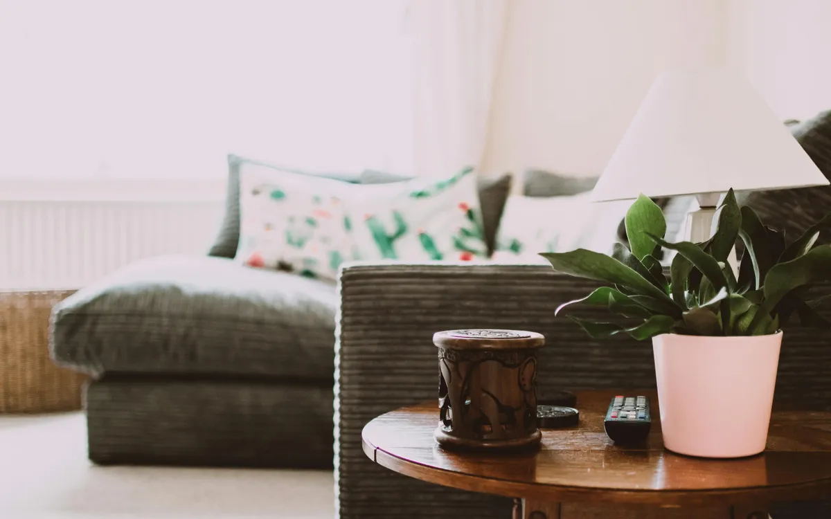 Ảnh minh họa: Pexels