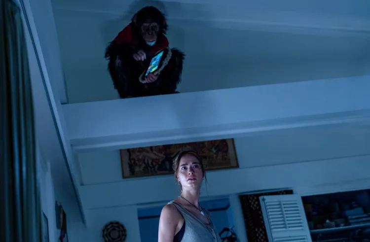 Phim kinh di "Linh trưởng" t&aacute;i hiện vụ tinh tinh tấn c&ocirc;ng g&acirc;y r&uacute;ng động nước Mỹ- Ảnh 2.