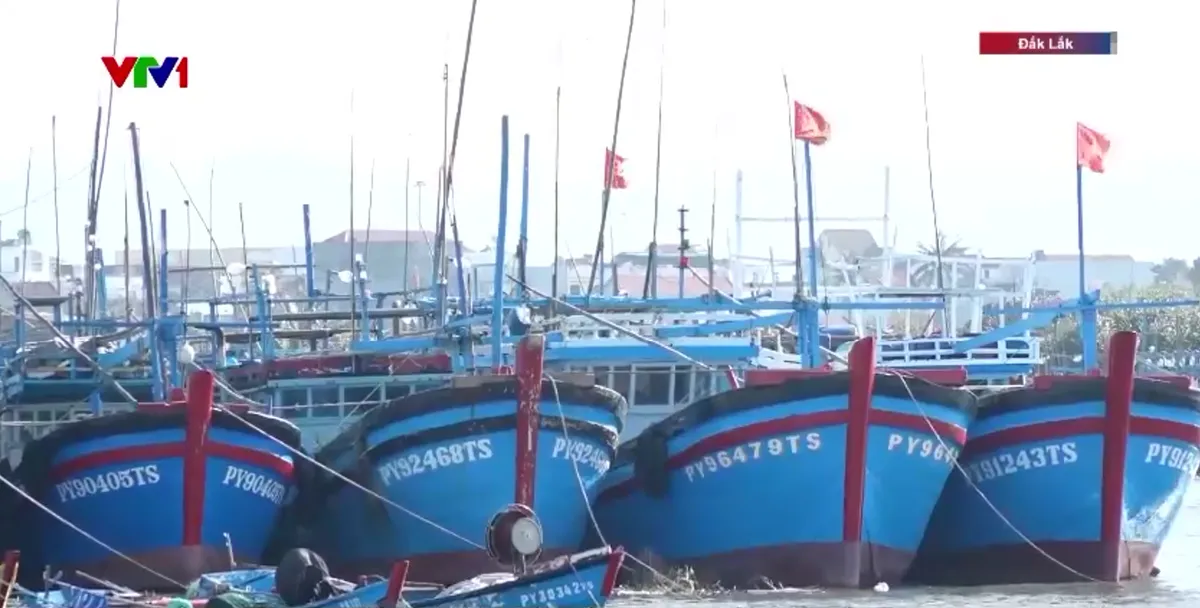 L&agrave;ng biển hướng về Đại hội Đảng to&agrave;n quốc lần thứ XIV - Ảnh 1.