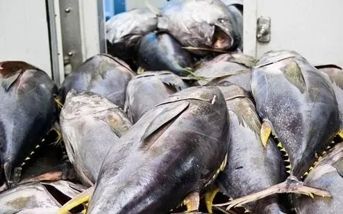 Ảnh: Báo Công Thương