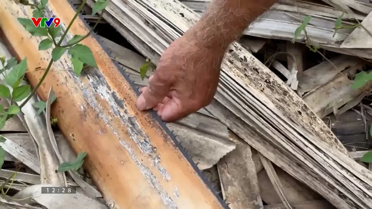 Ấn tượng phương Nam: Giữ nghề đũa buông