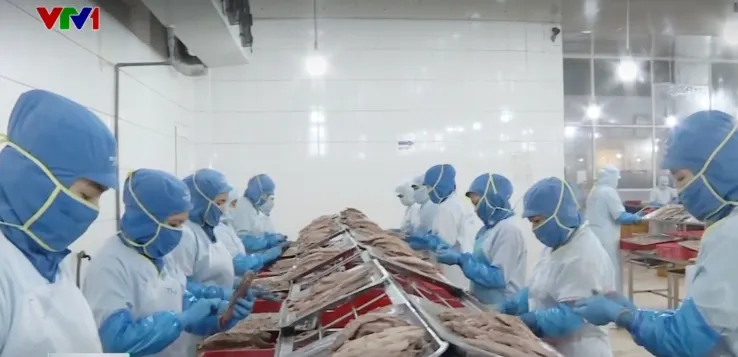 Ng&agrave;nh thủy sản điều chỉnh chiến lược xuất khẩu d&agrave;i hạn - Ảnh 1.