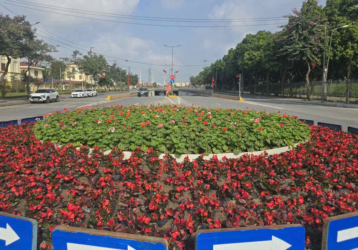 Ninh B&igrave;nh: Đa dạng h&igrave;nh thức tuy&ecirc;n truyền hướng về Đại hội đại biểu to&agrave;n quốc lần thứ XIV của Đảng - Ảnh 3.